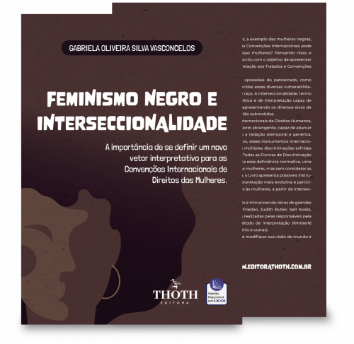 Feminismo Negro e Interseccionalidade: A Importância de se Definir um Novo Vetor Interpretativo para as Convenções Internacionais de Direitos das Mulheres