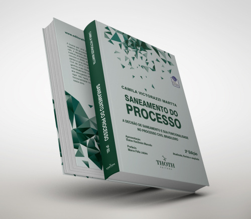 Saneamento do Processo: A Decisão de Saneamento e sua Funcionalidade no Processo Civil Brasileiro - 2ª Edição