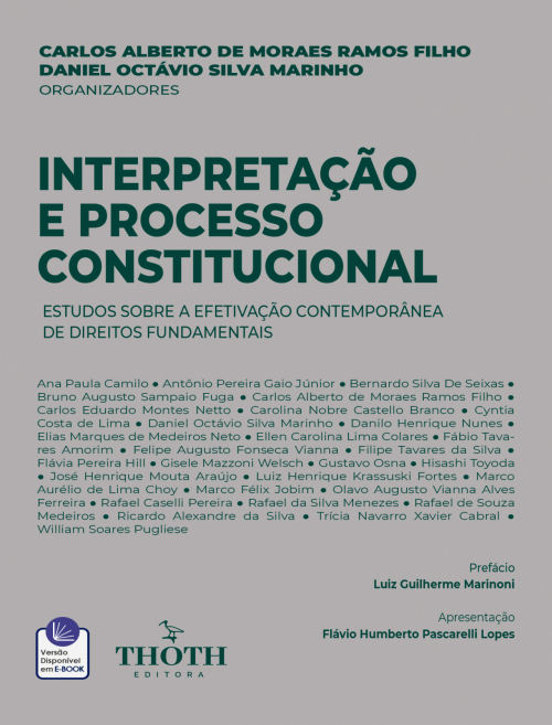 Interpretação e Processo Constitucional: Estudos sobre a Efetivação Contemporânea de Direitos Fundamentais