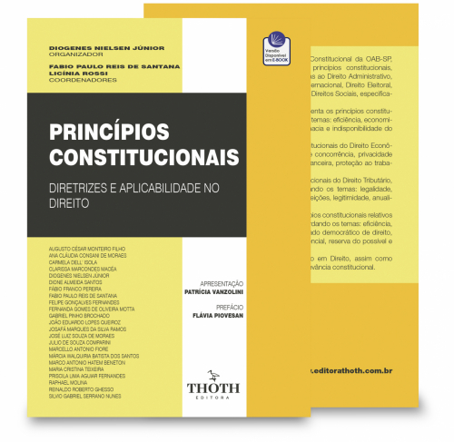 Princípios Constitucionais: Diretrizes e Aplicabilidade no Direito