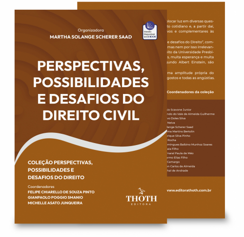 Perspectivas, Possibilidades e Desafios do Direito Civil