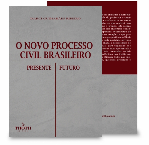 O Novo Processo Civil Brasileiro: Presente e Futuro