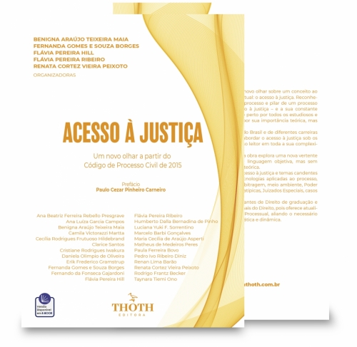 Acesso à Justiça: Um Novo Olhar a Partir do Código de Processo Civil de 2015